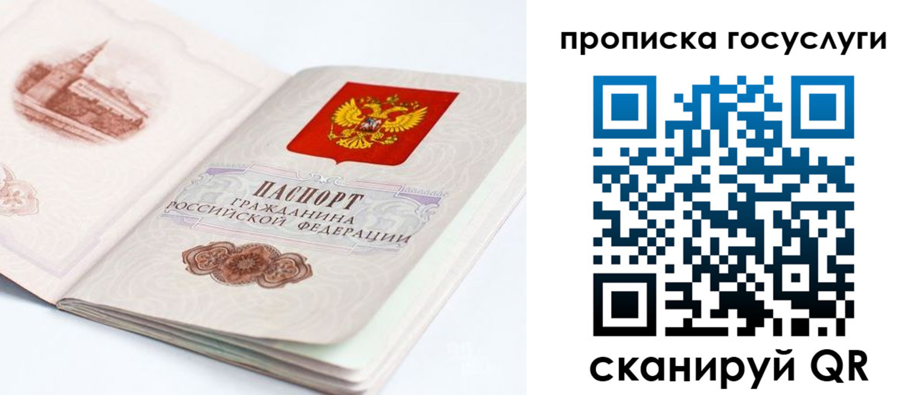 временная регистрация в Змеиногорске